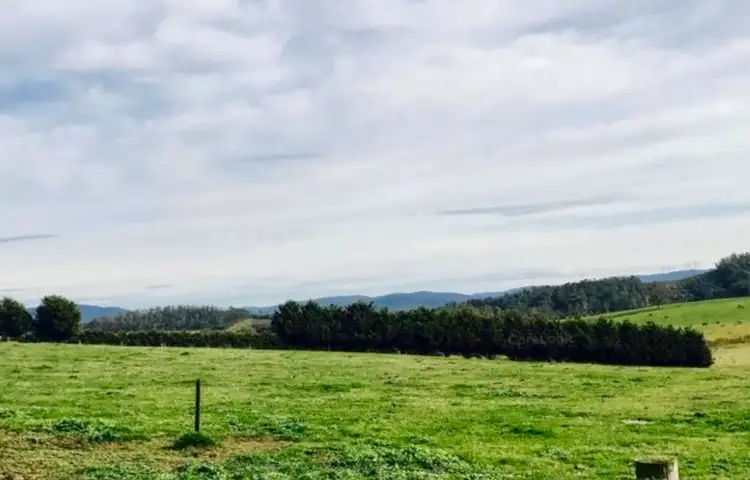Sixth view of Homely rural property listing, 73 acres TONKIN ROAD, Labertouche VIC 3816