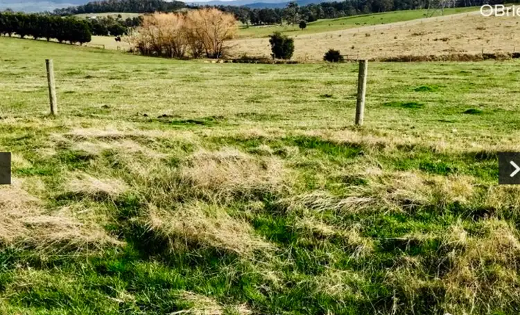 Seventh view of Homely rural property listing, 73 acres TONKIN ROAD, Labertouche VIC 3816