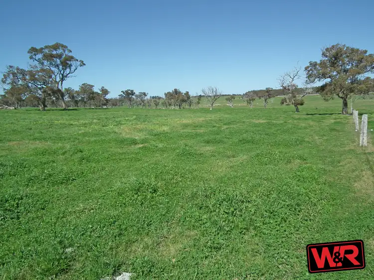Seventh view of Homely rural property listing, 331 Mawson Road, Napier WA 6330