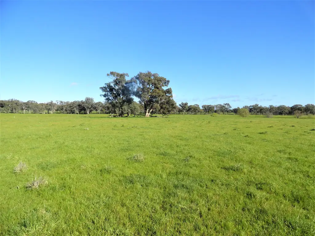 Main view of Homely rural property listing, SPRING LAWN, GAYFER ROAD, Chiltern VIC 3683