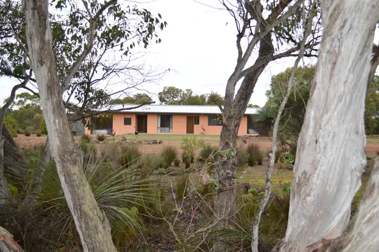 Third view of Homely rural property listing, 441 WETHERALLS ROAD, Duncan SA 5223