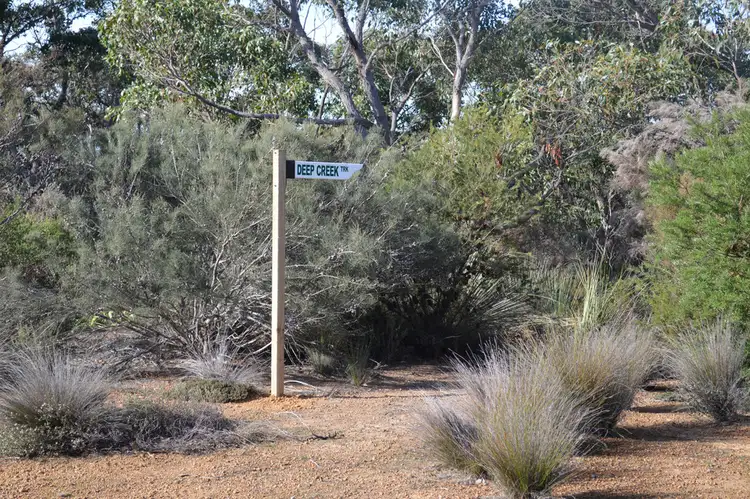 Seventh view of Homely rural property listing, 441 WETHERALLS ROAD, Duncan SA 5223
