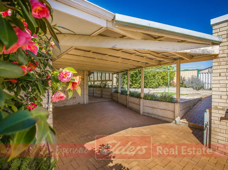 Main view of Homely house listing, 99 Hamilton Road, Eaton WA 6232