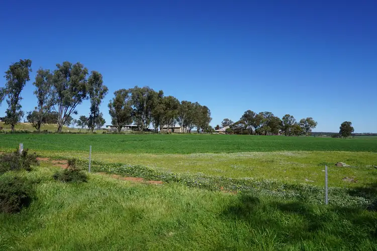 Main view of Homely rural property listing, 472 NIBY NIBY ROAD, BERKSHIRE VALLEY, Moora WA 6510