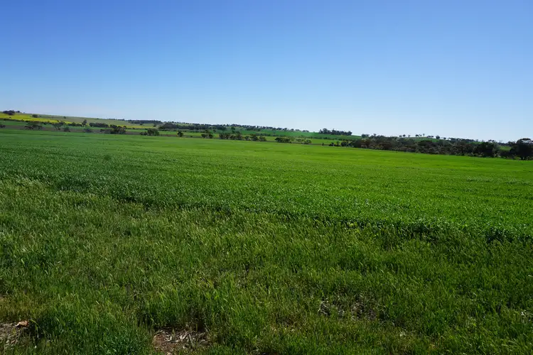 Second view of Homely rural property listing, 472 NIBY NIBY ROAD, BERKSHIRE VALLEY, Moora WA 6510