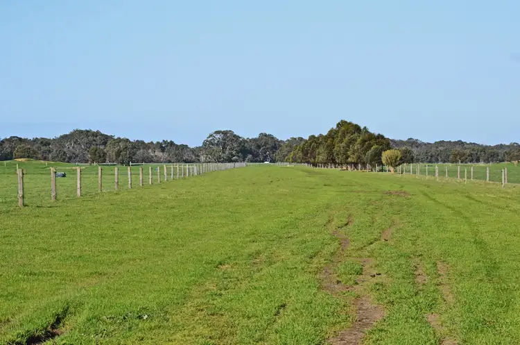 Fifth view of Homely rural property listing, 340 BIRCHMORE ROAD, Birchmore SA 5223