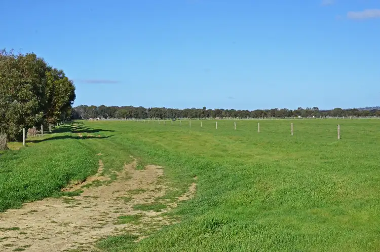 Seventh view of Homely rural property listing, 340 BIRCHMORE ROAD, Birchmore SA 5223
