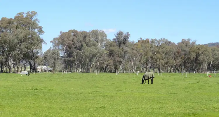 Second view of Homely rural property listing, 216 Settlers Road, Chiltern VIC 3683