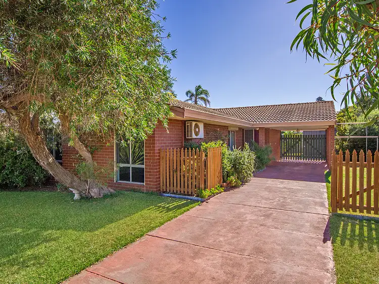 Second view of Homely house listing, 24 Ricketts Court, Rockingham WA 6168