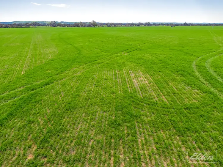 Sixth view of Homely rural property listing, 48 Bremer Station Rd, Strathalbyn SA 5255