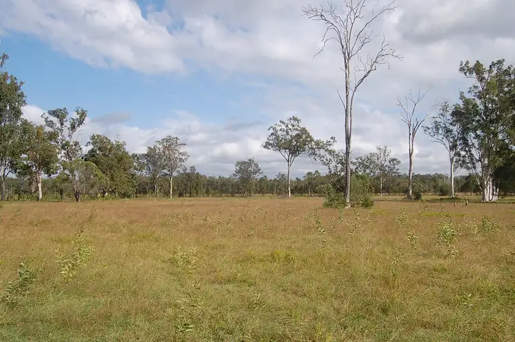 Third view of Homely rural property listing, 205 Mothersoles Rd, Ellangowan NSW 2470