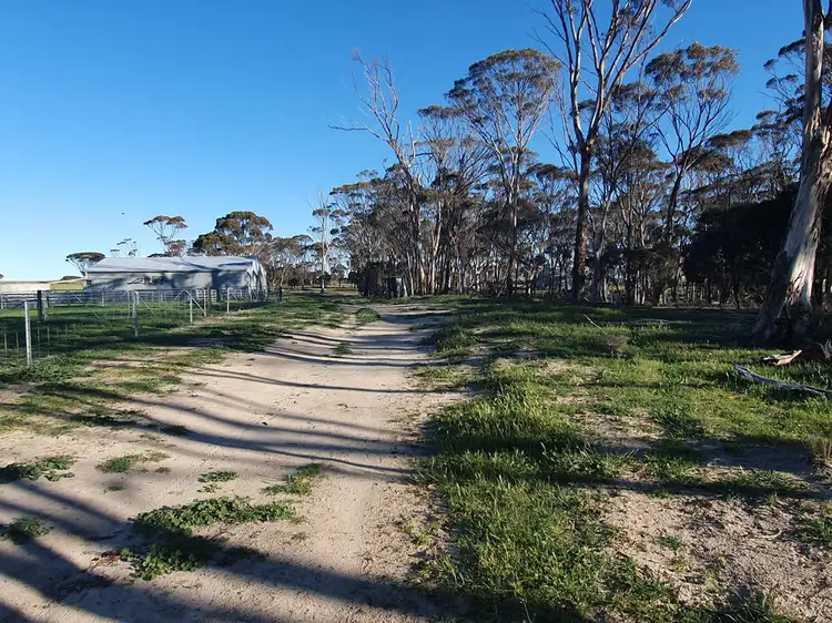 Fourth view of Homely rural property listing, 2405 North Needilup Rd, Pingrup WA 6343