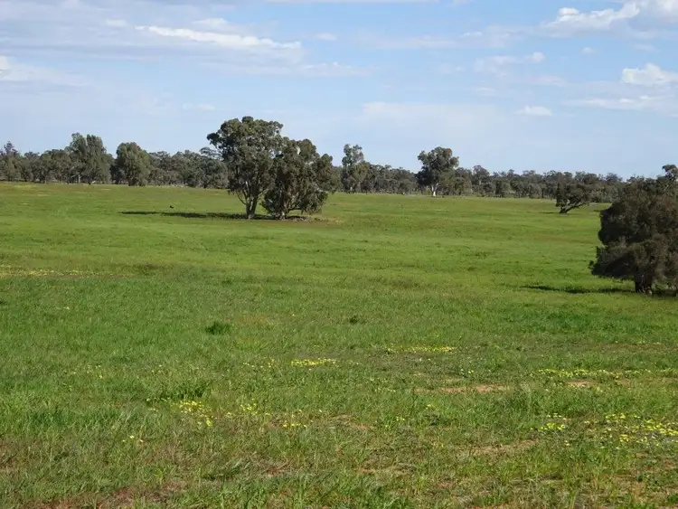 Second view of Homely rural property listing, . PERRICOOTA ROAD, Barham NSW 2732