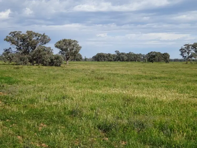Third view of Homely rural property listing, . PERRICOOTA ROAD, Barham NSW 2732