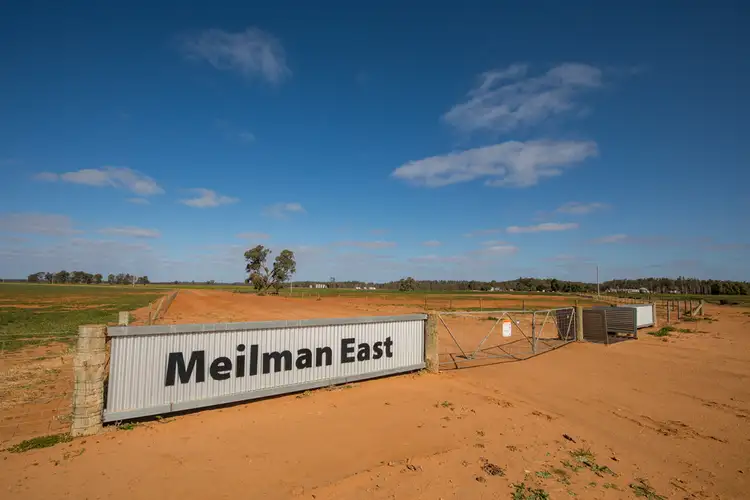 Second view of Homely rural property listing, 1395 Meilman Road, Euston NSW 2737