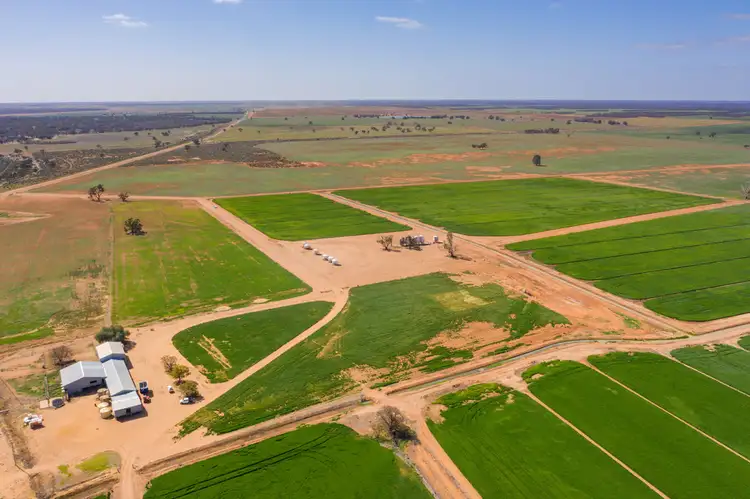 Fourth view of Homely rural property listing, 1395 Meilman Road, Euston NSW 2737