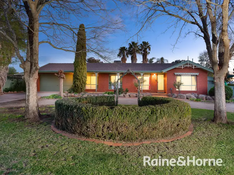 Main view of Homely house listing, 19 Horseshoe Road, Cartwrights Hill NSW 2650