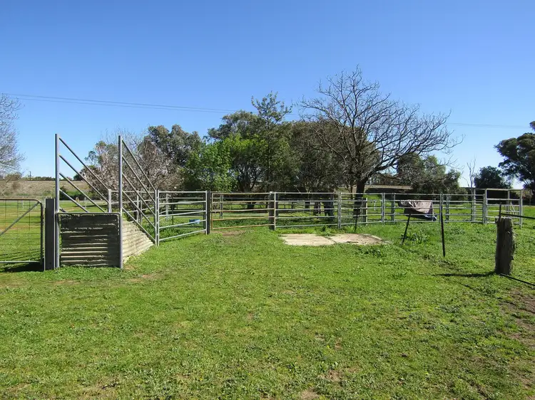 Seventh view of Homely rural property listing, 75 Canning Road, Springhurst VIC 3682