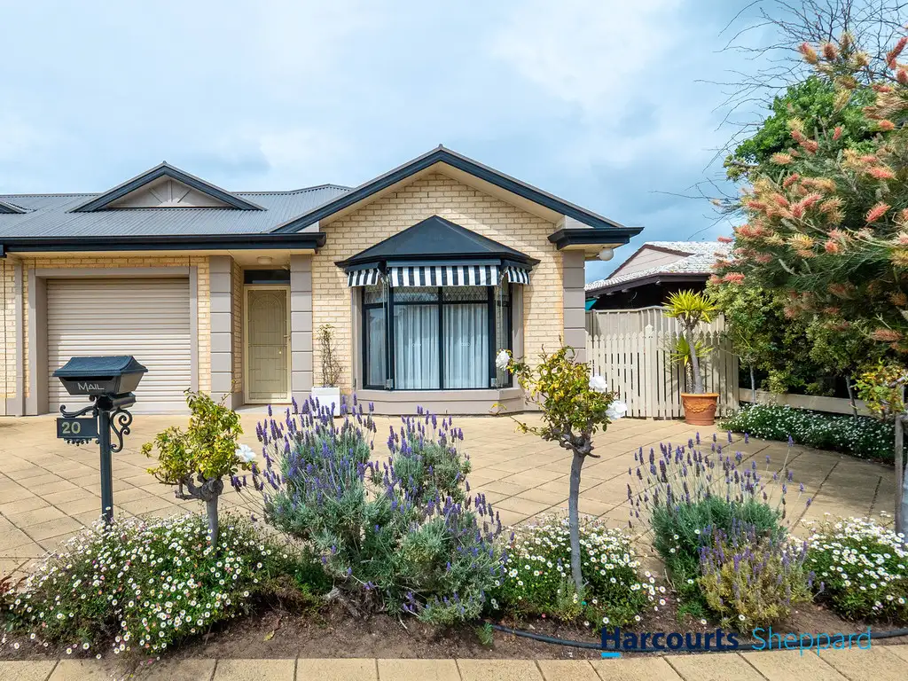 Main view of Homely house listing, 20 Parkview Avenue, Grange SA 5022