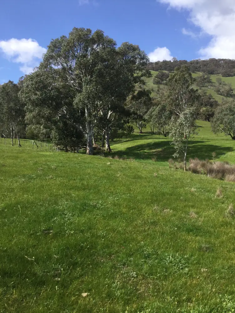 Main view of Homely rural property listing, 1695 Highlands Road, Whiteheads Creek VIC 3660