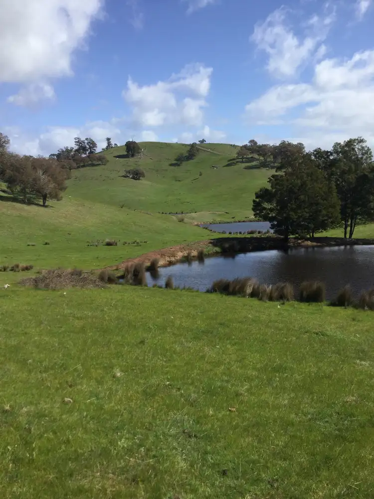 Fifth view of Homely rural property listing, 1695 Highlands Road, Whiteheads Creek VIC 3660