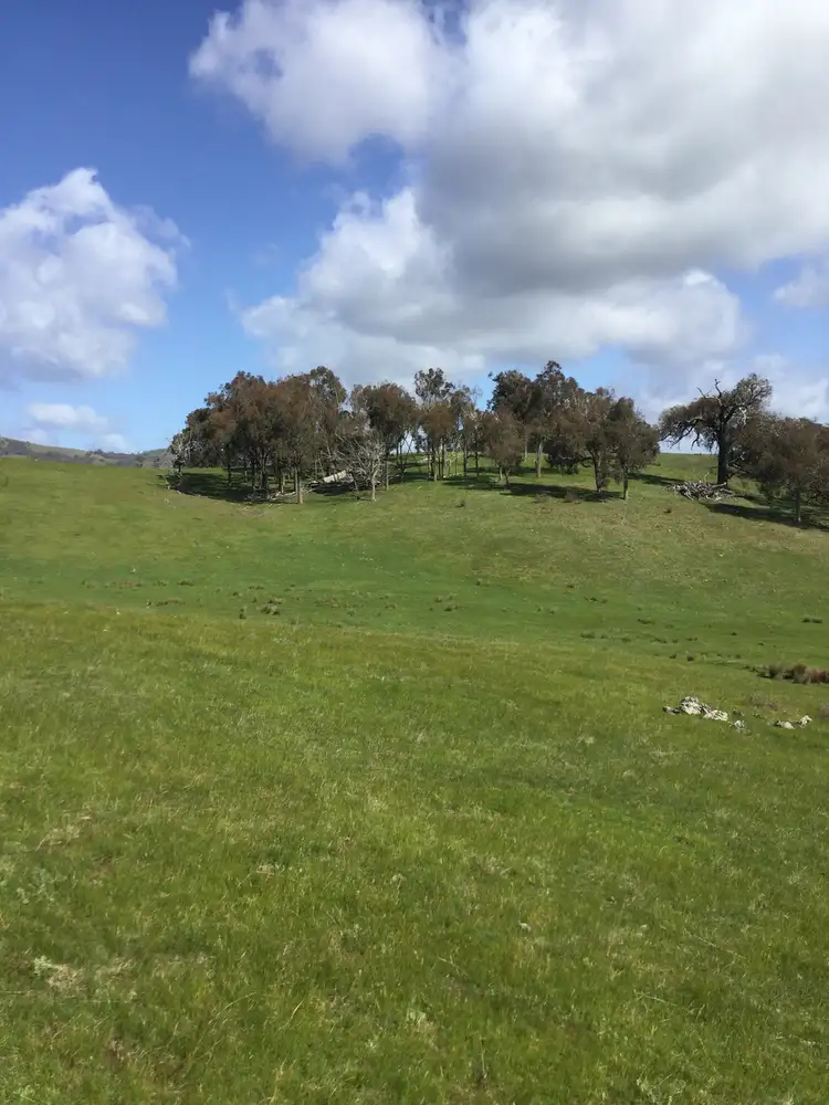 Sixth view of Homely rural property listing, 1695 Highlands Road, Whiteheads Creek VIC 3660