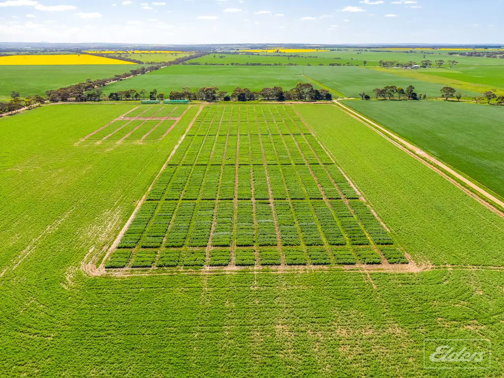 Main view of Homely rural property listing, 112 Research Road, Strathalbyn SA 5255