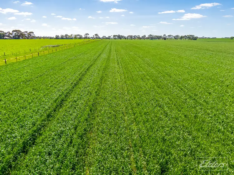 Fourth view of Homely rural property listing, 112 Research Road, Strathalbyn SA 5255