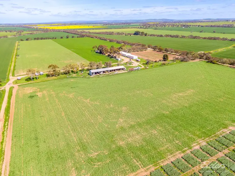 Fifth view of Homely rural property listing, 112 Research Road, Strathalbyn SA 5255