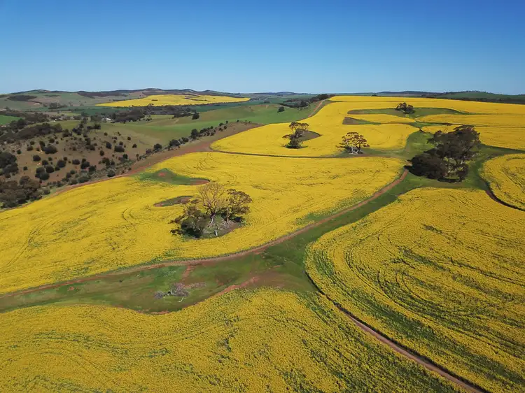 Fourth view of Homely rural property listing, 1343 Koppio Road, Koppio SA 5607