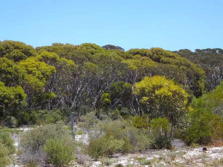 Seventh view of Homely land listing, 103 Whale Bay Drive, Hopetoun WA 6348