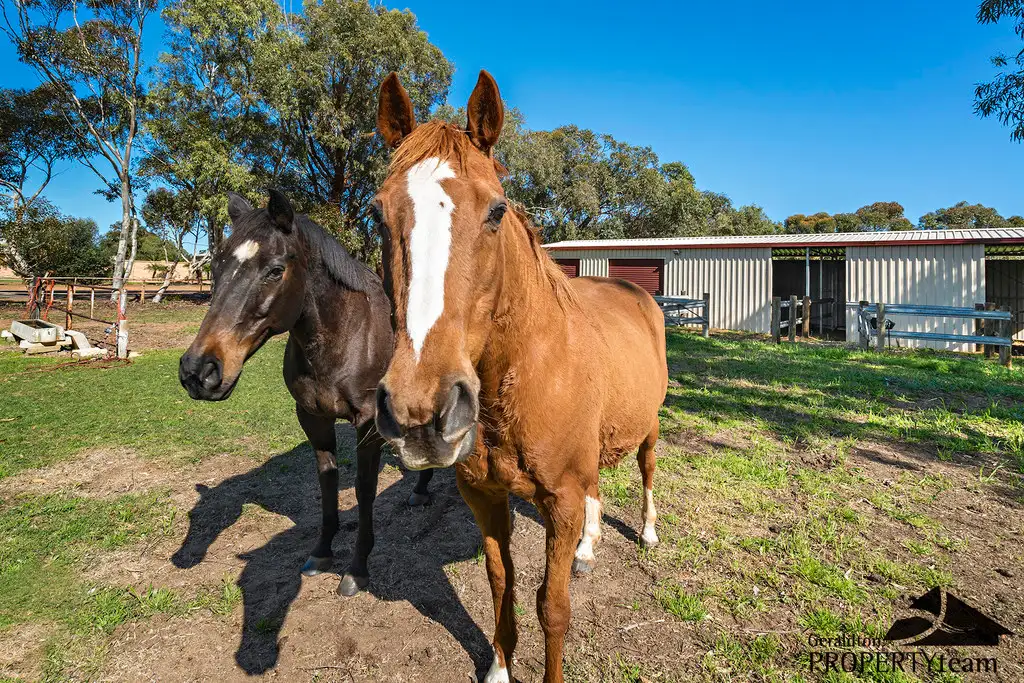 Main view of Homely house listing, 21 Polo Road, Woorree WA 6530