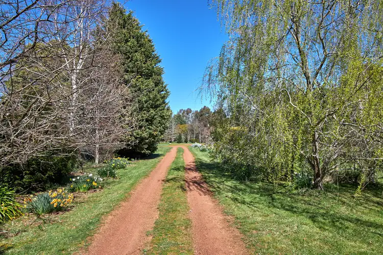 Second view of Homely house listing, 528 Cressy Road, Longford TAS 7301