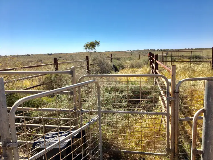 Fifth view of Homely rural property listing, 327 Decres Bay Road, Ceduna SA 5690