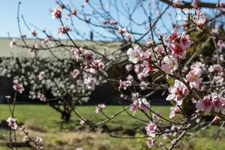 Second view of Homely house listing, 14739 Tasman Highway, Cranbrook TAS 7190