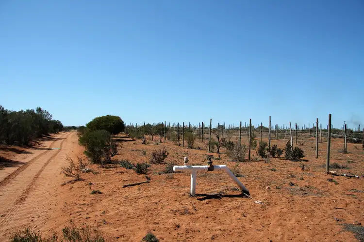 Seventh view of Homely rural property listing, 437 Wentworth Road, Cooltong SA 5341