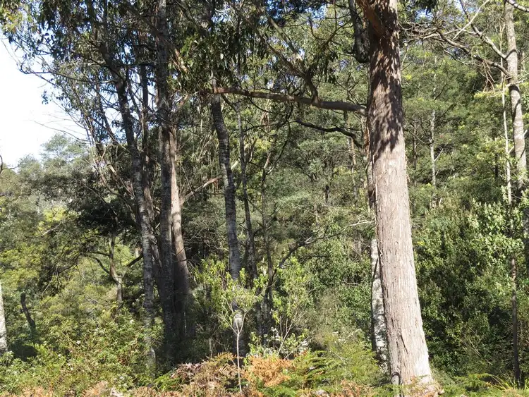 Sixth view of Homely rural property listing, Lot 1 Sheffield Road, Sheffield TAS 7306