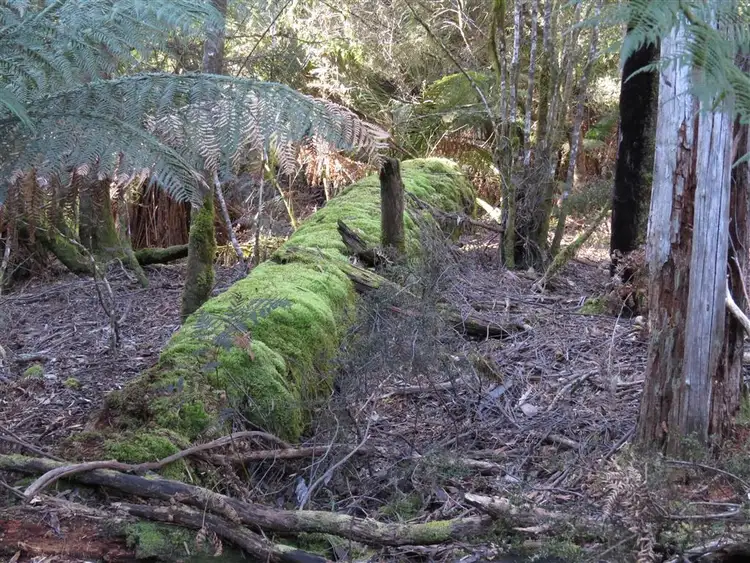 Seventh view of Homely rural property listing, Lot 1 Sheffield Road, Sheffield TAS 7306