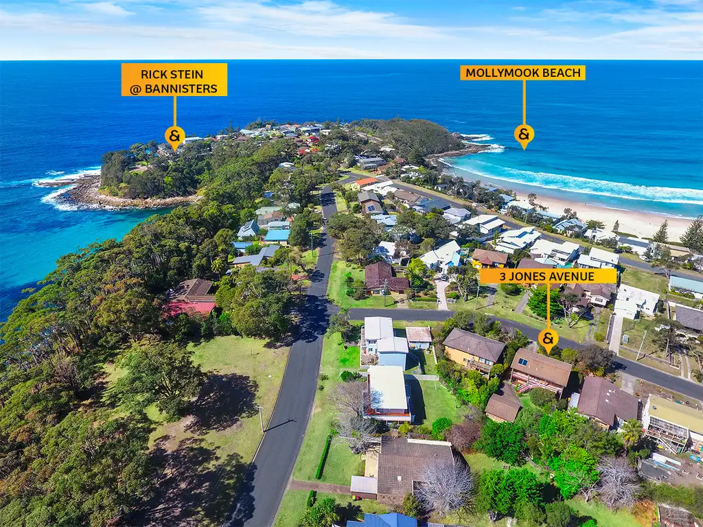 Main view of Homely house listing, 3 Jones Avenue, Mollymook Beach NSW 2539