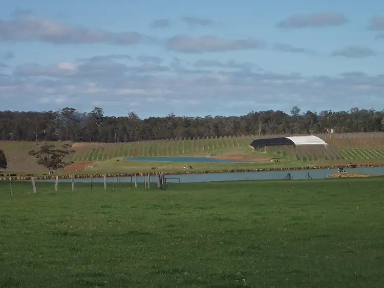 Sixth view of Homely rural property listing, 28265 & 28289 South Western Highway, Manjimup WA 6258