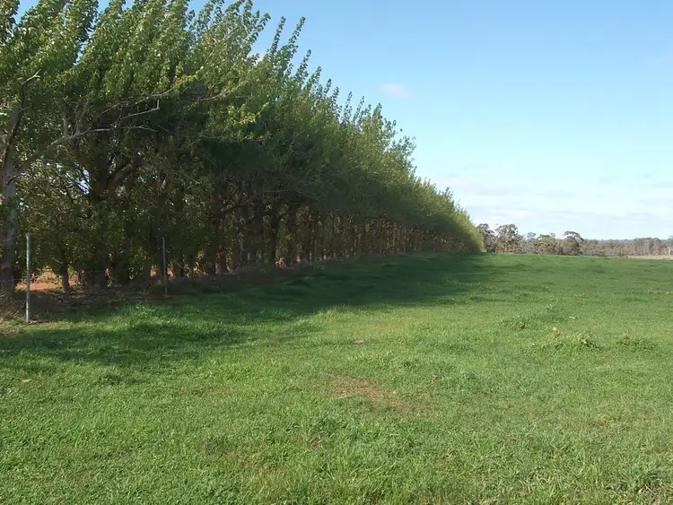 Seventh view of Homely rural property listing, 28265 & 28289 South Western Highway, Manjimup WA 6258