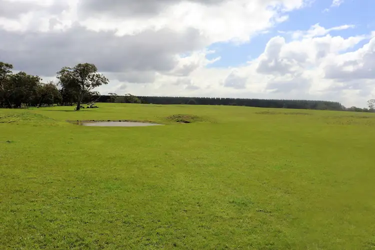 Sixth view of Homely rural property listing, Lots 1-2 Winnap Siding Road, Winnap VIC 3304