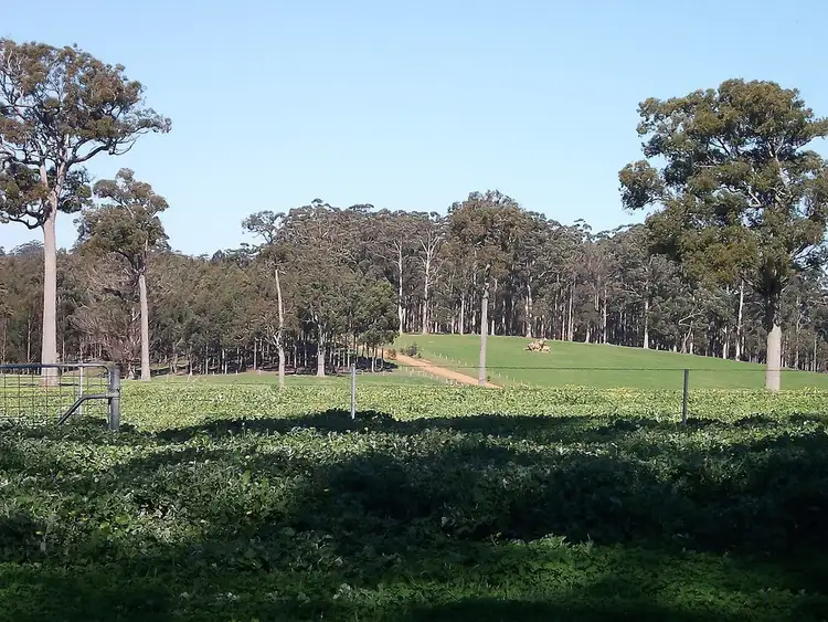 Second view of Homely rural property listing, Lot 106 Wetherell Road, Manjimup WA 6258