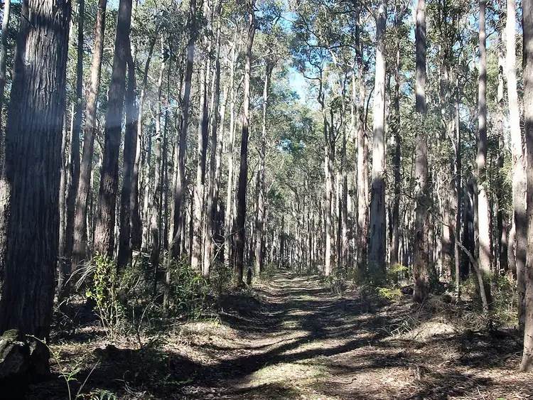 Third view of Homely rural property listing, Lot 106 Wetherell Road, Manjimup WA 6258