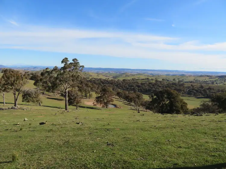 Third view of Homely house listing, 404 Reno Road, Gundagai NSW 2722