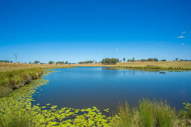 Second view of Homely house listing, 125 Bergins Pocket Road, Kandanga QLD 4570