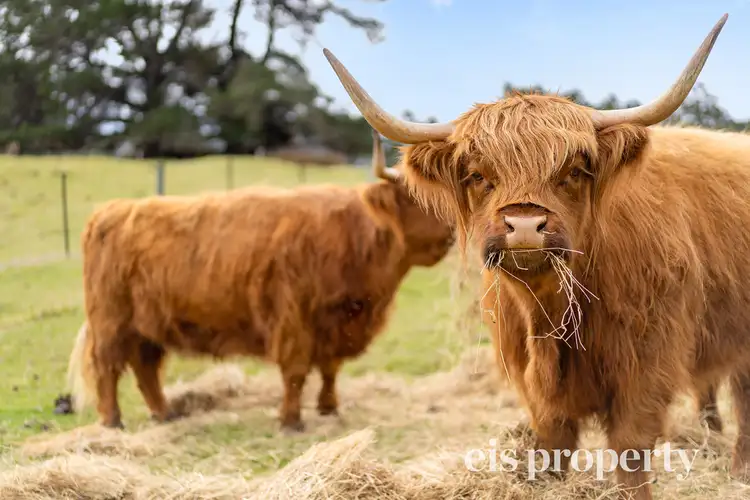 Third view of Homely house listing, 6303 Huon Highway, Glendevie TAS 7109