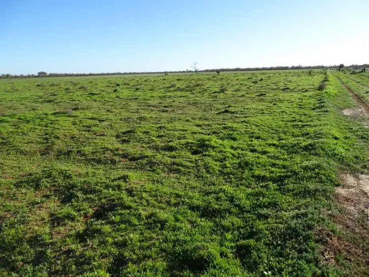 Seventh view of Homely rural property listing, Address available on request
