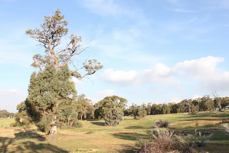 Fourth view of Homely land listing, Lot 406 Brushtail Brow, Bakers Hill WA 6562