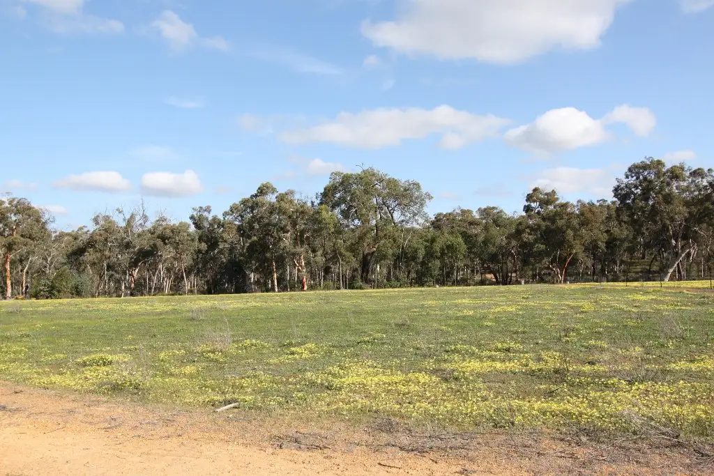 Main view of Homely land listing, Lot 420 Woylie Rise, Bakers Hill WA 6562